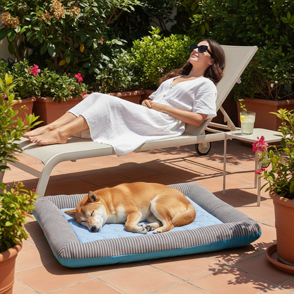 Brunette terrasse bleu