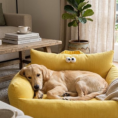 Canapé Chien jaune avec yeux décoratifs