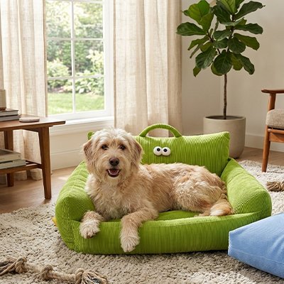 Canapé Chien XXL