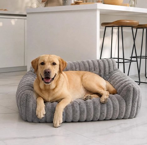 Canapé pour Chien Conçu en polyester respirant avec Matériaux non toxiques
