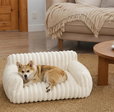 Canapé pour Chien dans le salon