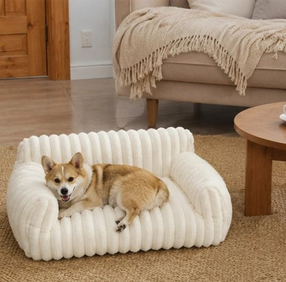 Canapé pour Chien dans le salon