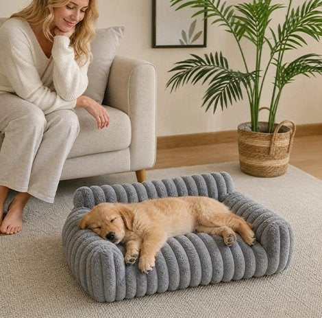 Canapé pour Chien design chic et moderne