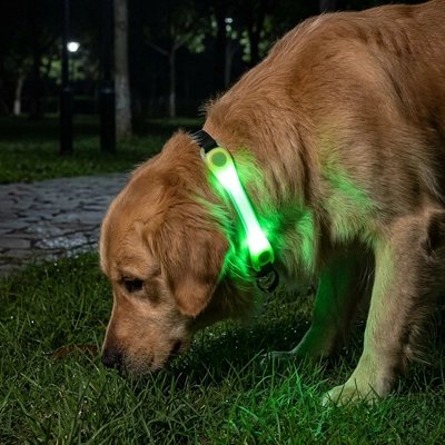 Collier Chien lumineux en LED
