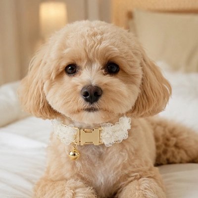 Collier pour chien élégant et confortable avec finition en dentelle, conçu pour offrir style, sécurité et confort à votre compagnon au quotidien.