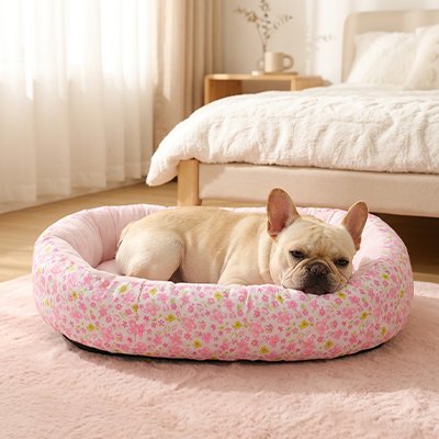 Coussin Chien 