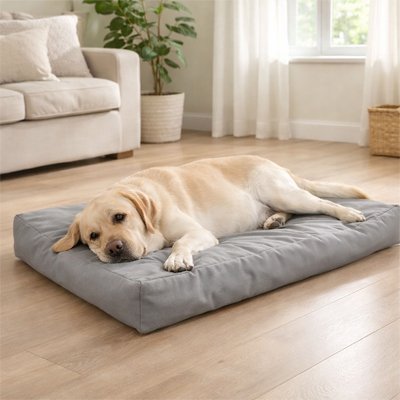 Coussin pour Chien dormi confort