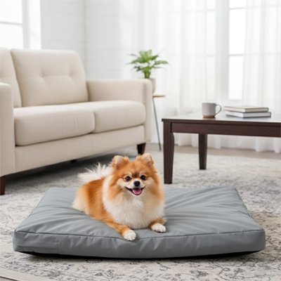 Coussin pour Chien content