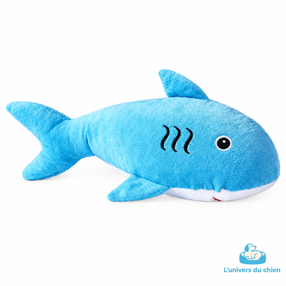 Peluche Chien | Requin Indestructible