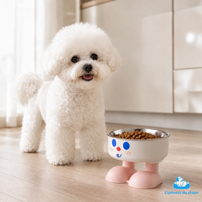 Bichon blanc près d’une gamelle surélevée pour chien avec pieds roses et bol rempli de croquettes
