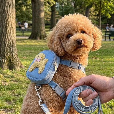 Harnais pour chien bleu porté sac à dos ajustable