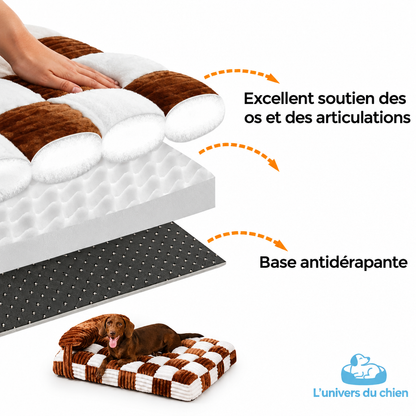 Mousse alvéolée de soutien et base antidérapante du lit pour chien