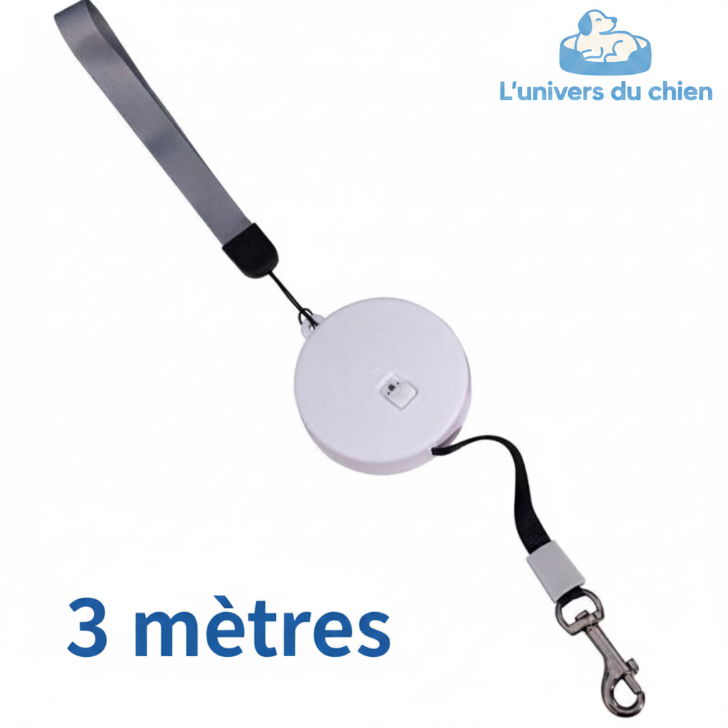 Laisse enrouleur | Confort Robuste