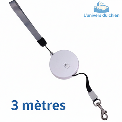 Laisse enrouleur | Confort Robuste