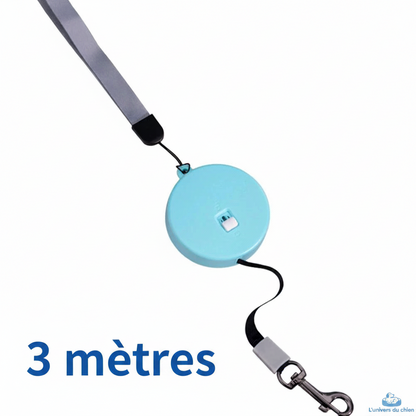 Laisse enrouleur | Confort Robuste