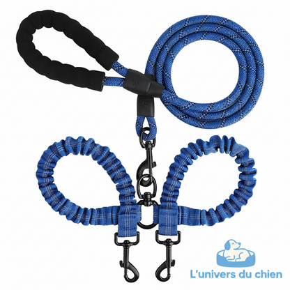 Double laisse pour chien | Confort et Sécurité