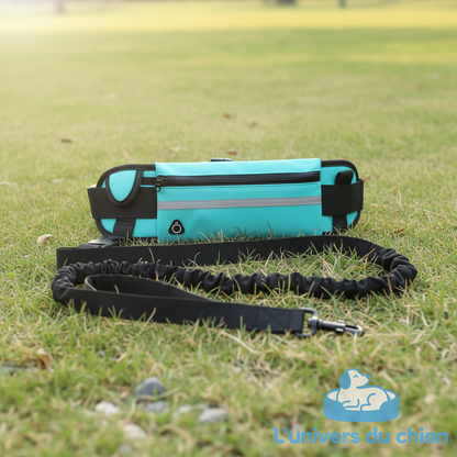 Laisse double pour chien bleu