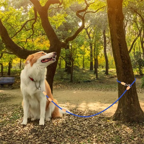 Laisse double pour chien Adaptée aux chiens de petite et moyenne taille
