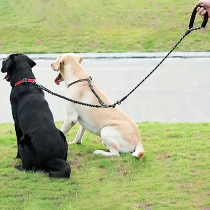 Laisse double pour chien assit