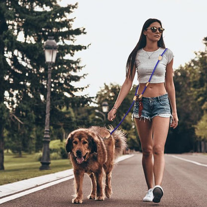 Laisse double pour chien avec ceinture ajustable