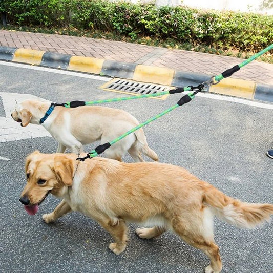 Laisse double pour chien avec corde de marche