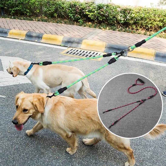 Laisse double pour chien confort optimal