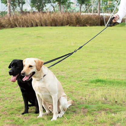 Laisse double pour chien content joue à l'extérieur 