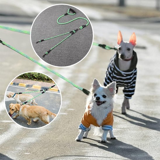 Laisse double pour chien Coupleur réglable