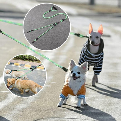 Laisse double pour chien Coupleur réglable