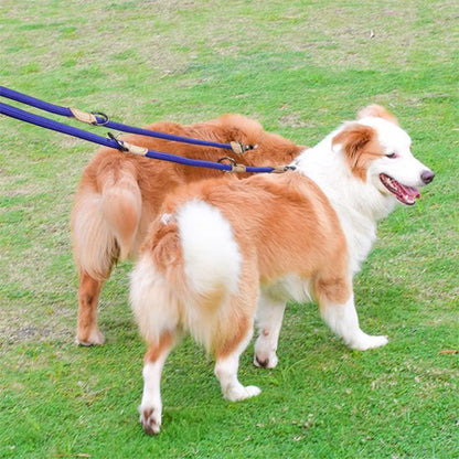 Laisse double pour chien de luxe 210 cm