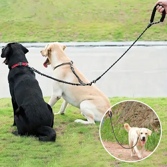 Laisse double pour chien différente taille