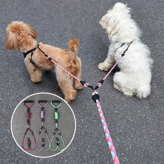 Laisse double pour chien différentes couleurs