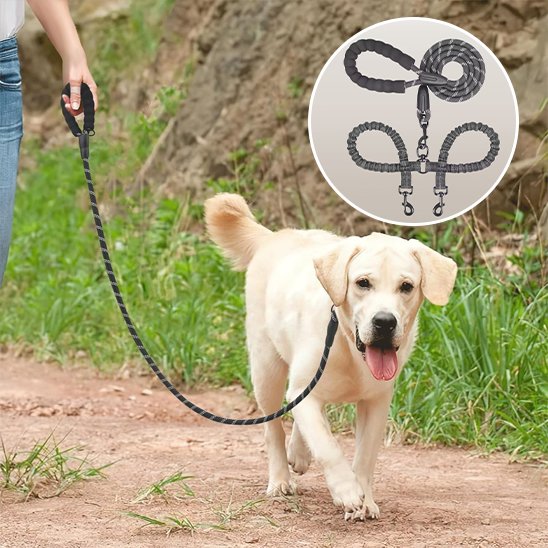 Laisse double pour chien élastique