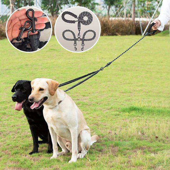 Laisse double pour chien Longueur ajustable