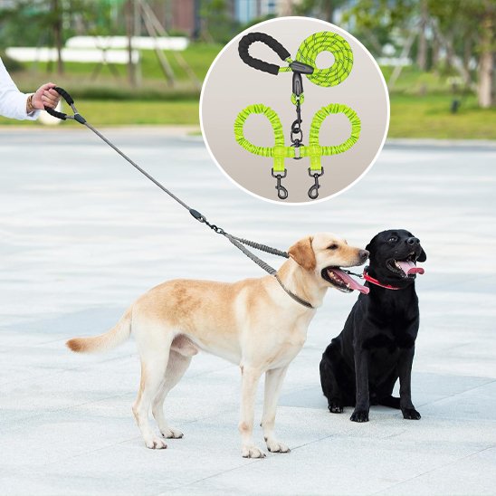 Laisse double pour chien matériaux durables