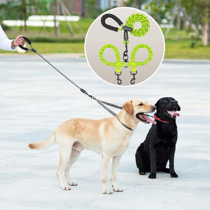 Laisse double pour chien matériaux durables