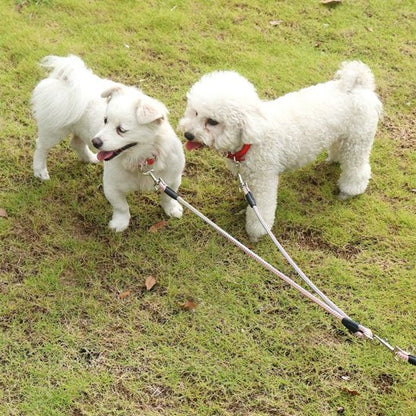 Laisse double pour chien petite taille