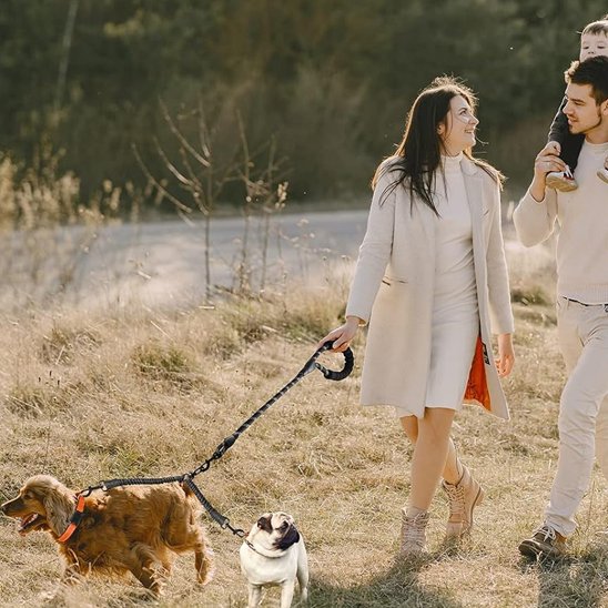 Laisse double pour chien sortie en famille