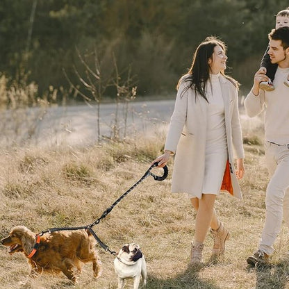 Laisse double pour chien sortie en famille