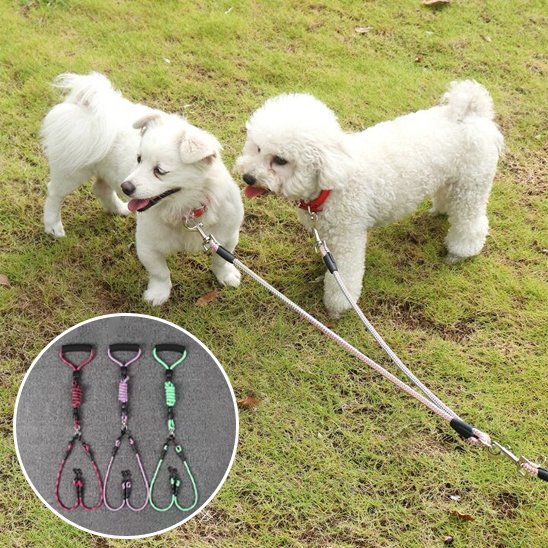 Laisse double pour chien
