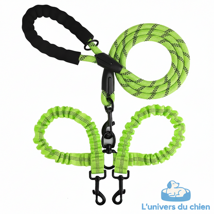 Laisse double pour chien | Anti-emmêlement