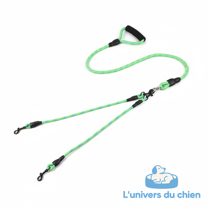 Laisse double pour chien | Contrôle Optimal