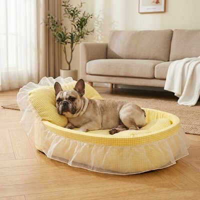Lit pour Chien jaune au salon