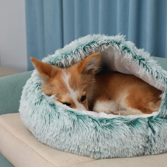 Panier chien vert ultra douce