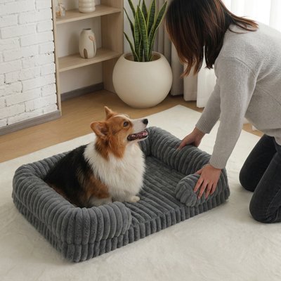 Panier pour Chien content avec maitre 