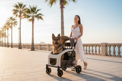 Photo 2 – Corniche grand chien