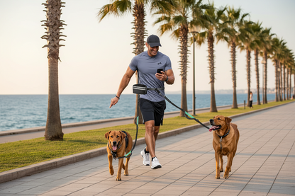 Laisse double pour chien | Mains Libres Anti-Traction