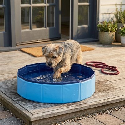 Piscine pour Chien baigner
