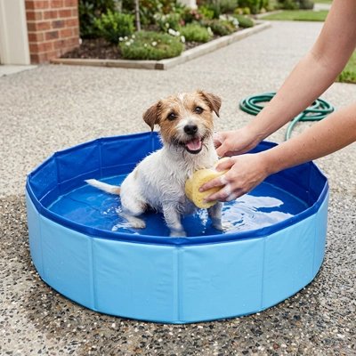 Piscine pour Chien Sans montage requis
