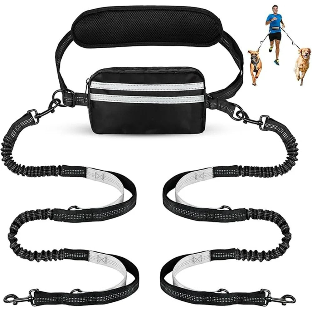 Laisse double pour chien | Mains Libres Anti-Traction